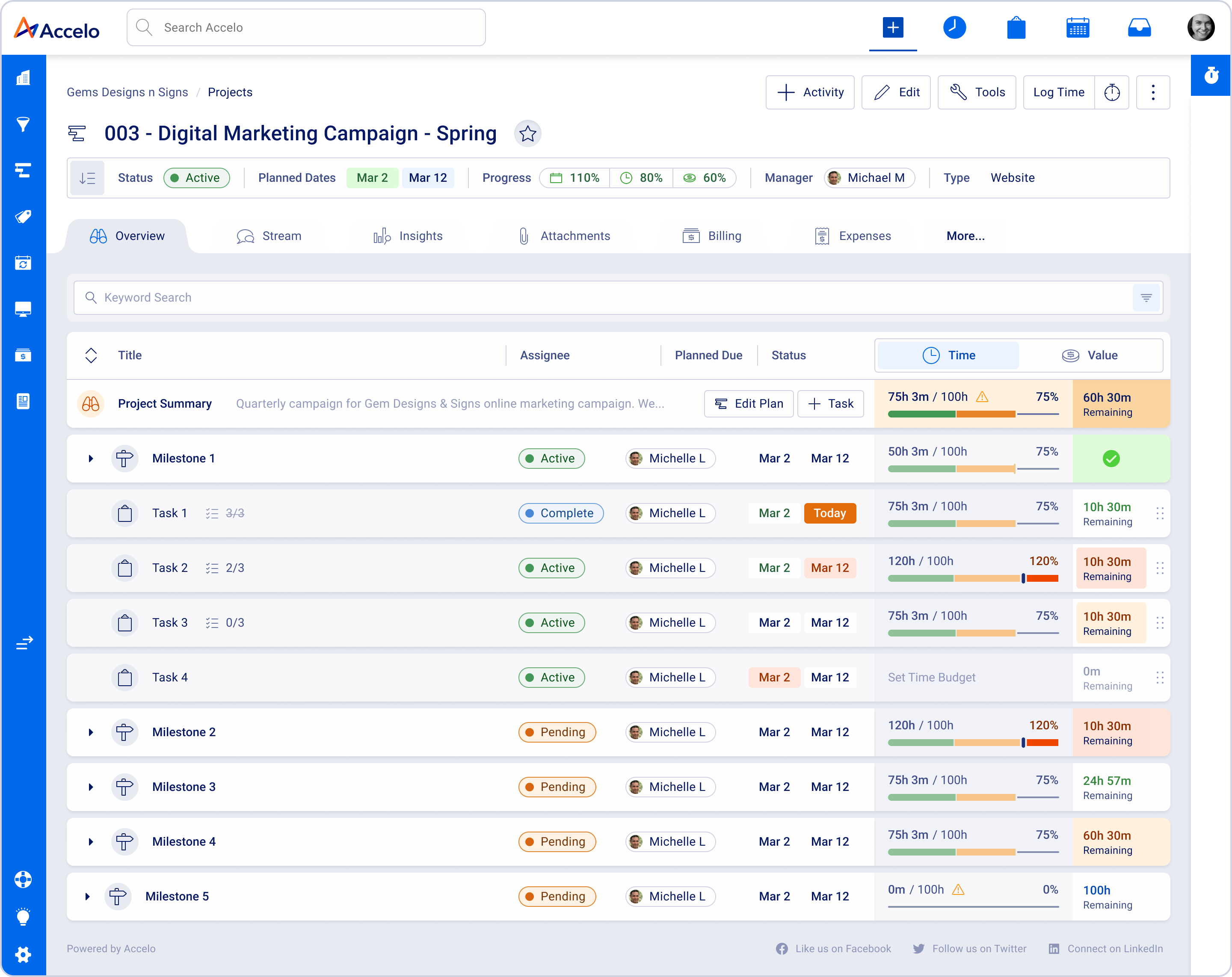 Detail of Accelo's Project Overview